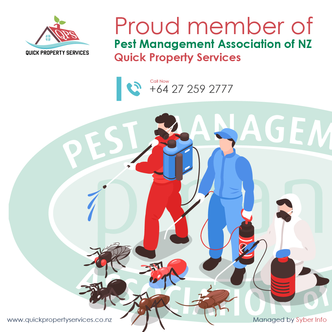 Achieving Excellence: Quick Property Services joins PMA New Zealand